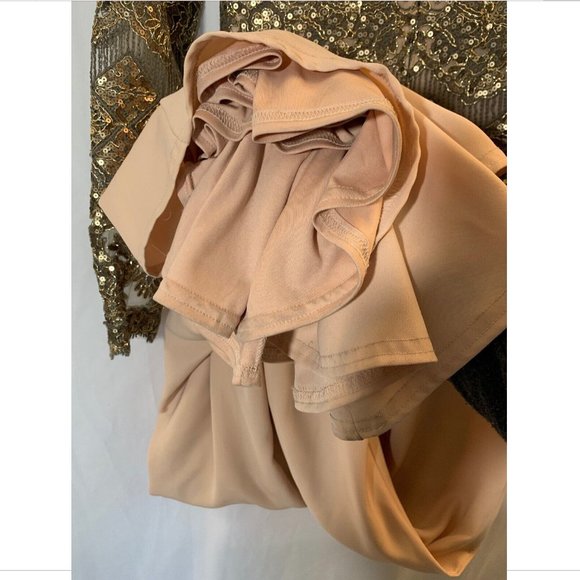 NEW Tadashi Shoji Long Sleeve Embroidered Sequin Crepe‎ Gown [SZ 2 ] - Picture 13 of 14